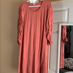 Tee shirt dress or long tunic shirt